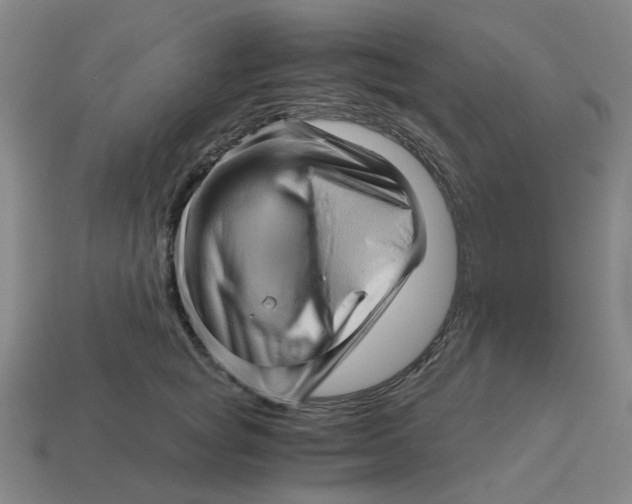 X0000114430757200911061643