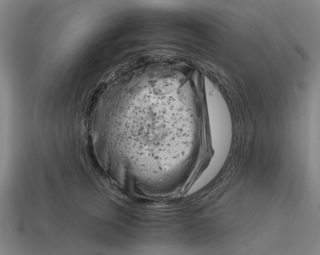 X0000114430759200911061643