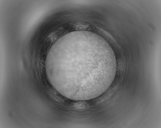 X0000114430761200911061643
