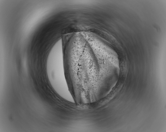 X0000114430762200911061643