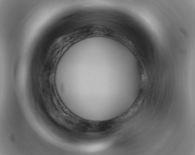 X0000114430765200911061643