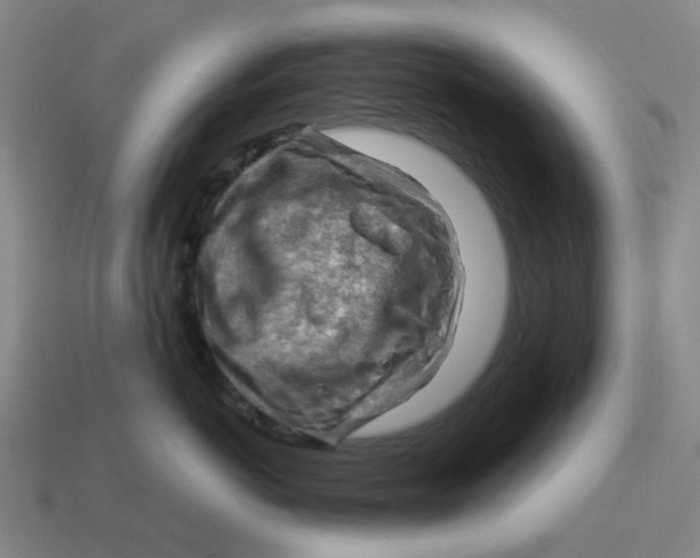 X0000114430766200911061643