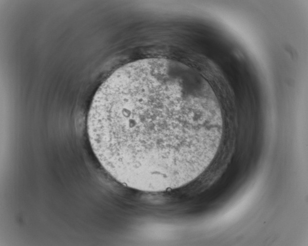X0000114430767200911061643