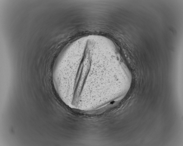 X0000114430769200911061642