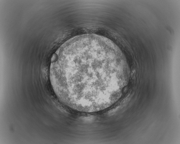 X0000114430772200911061642