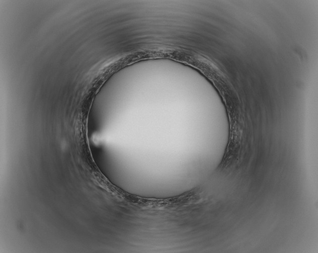 X0000114430773200911061642
