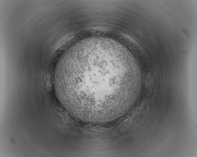 X0000114430774200911061642