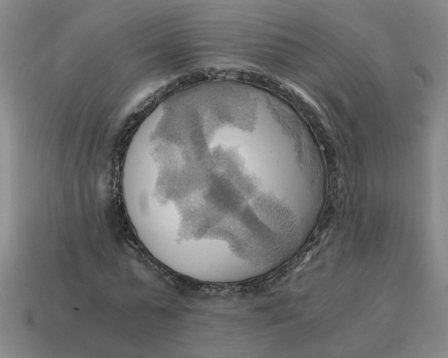 X0000114430775200911061642