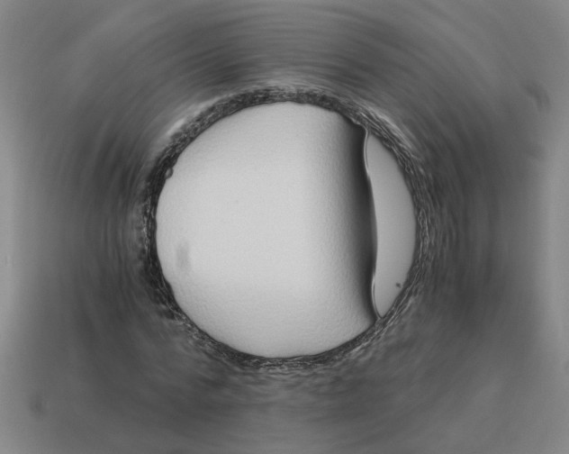 X0000114430776200911061642