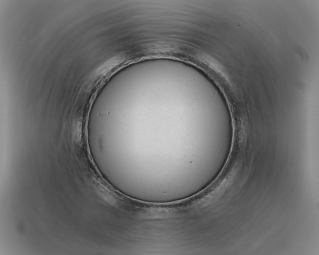 X0000114430777200911061642