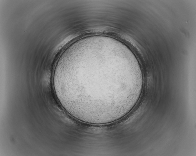 X0000114430778200911061642