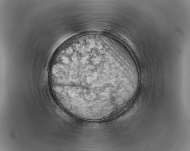 X0000114430779200911061642