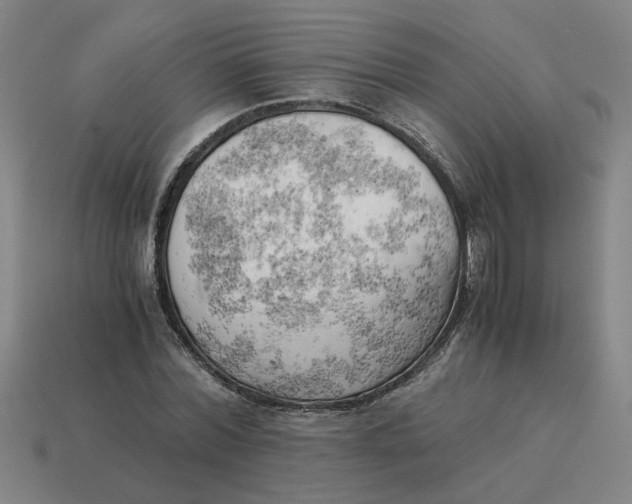 X0000114430780200911061642