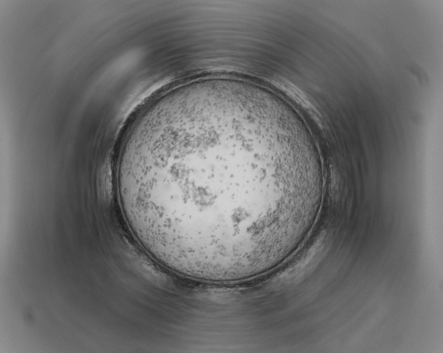 X0000114430782200911061642