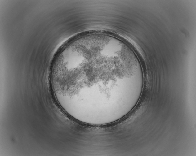 X0000114430783200911061642