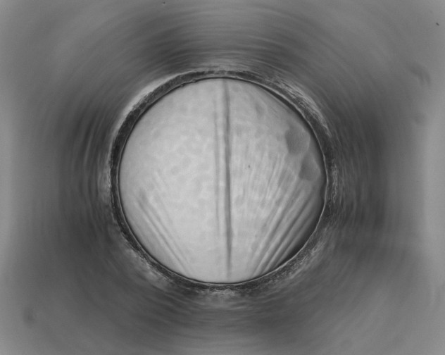 X0000114430784200911061642