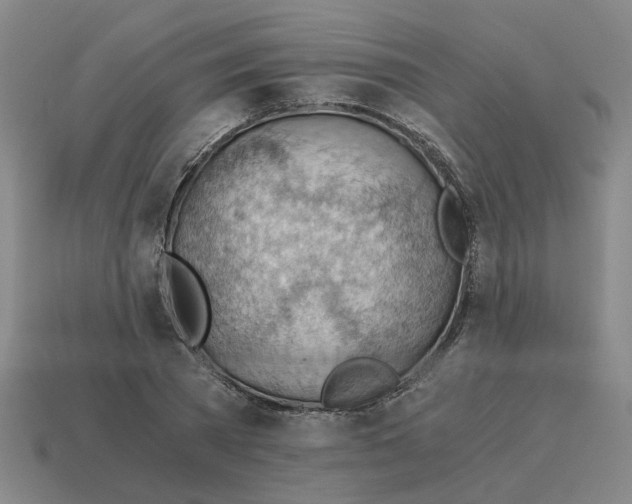X0000114430785200911061642