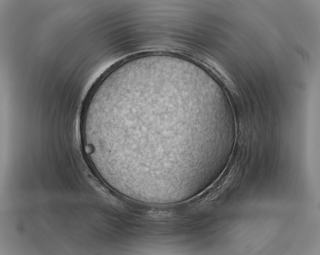 X0000114430788200911061642