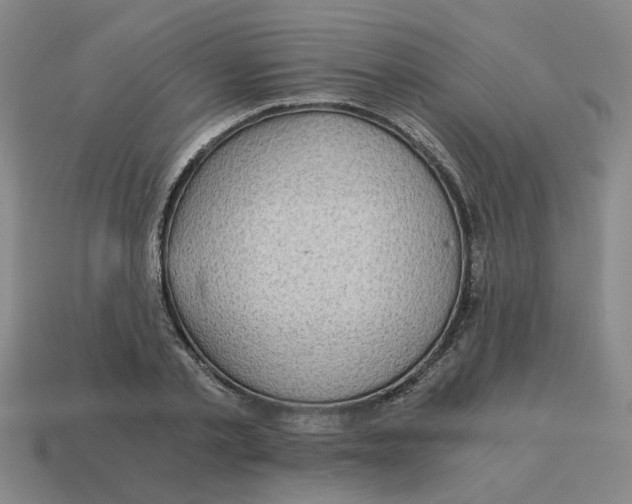X0000114430789200911061642