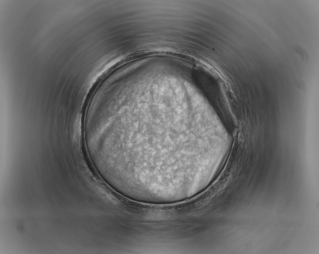 X0000114430790200911061642