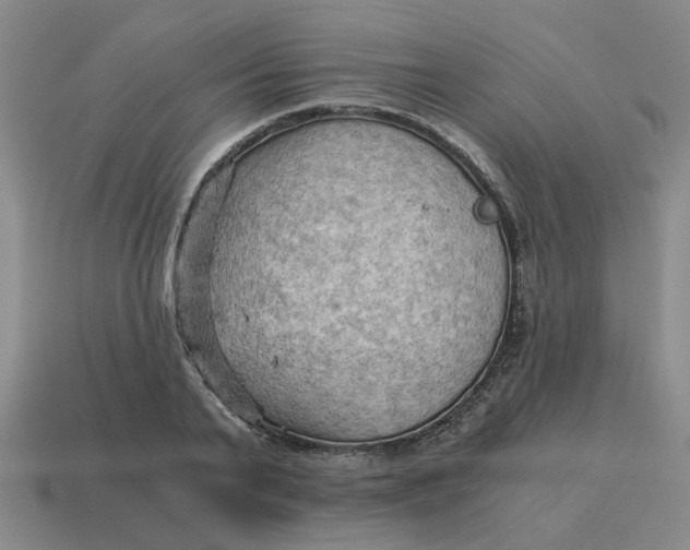 X0000114430791200911061642