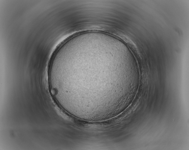 X0000114430792200911061642