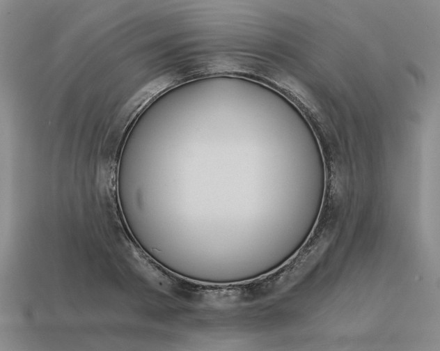 X0000114430793200911061642