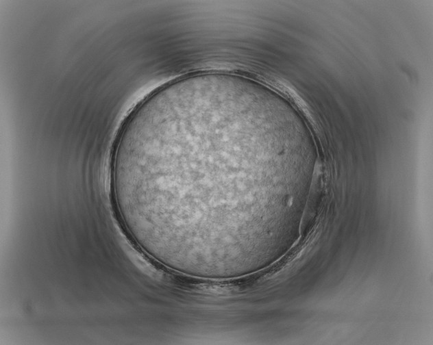 X0000114430795200911061642