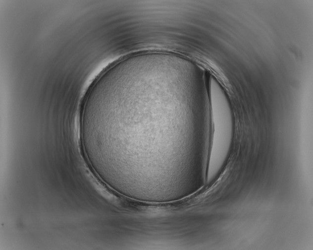 X0000114430796200911061642
