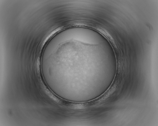 X0000114430798200911061642