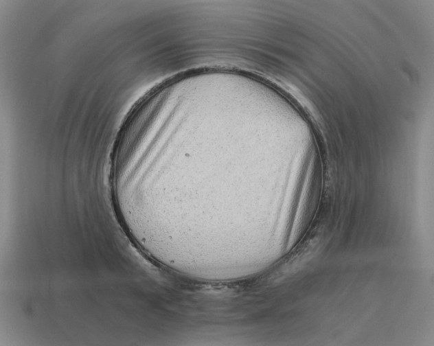 X0000114430799200911061642