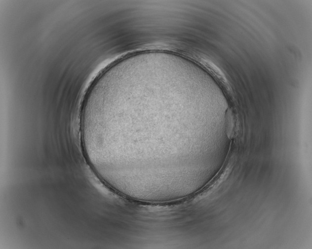 X0000114430800200911061642