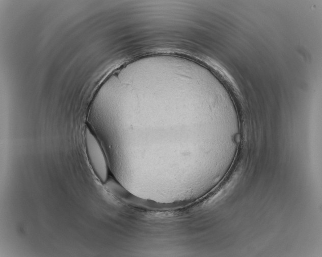 X0000114430801200911061642