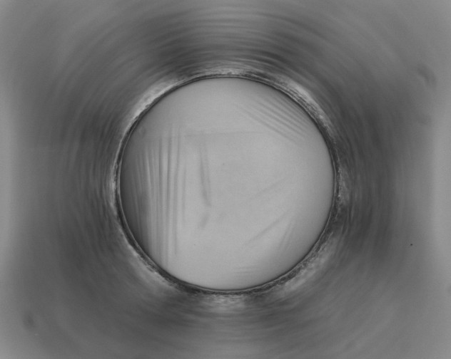 X0000114430802200911061642