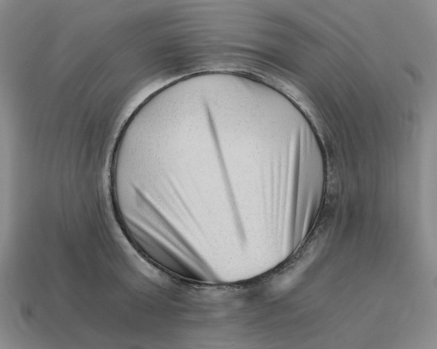 X0000114430803200911061642