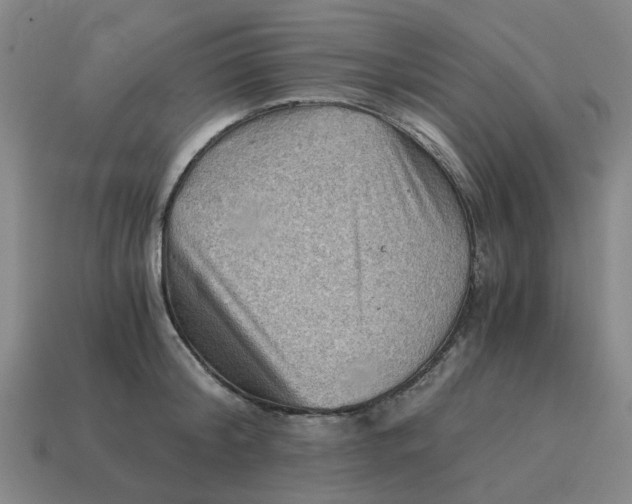 X0000114430804200911061642