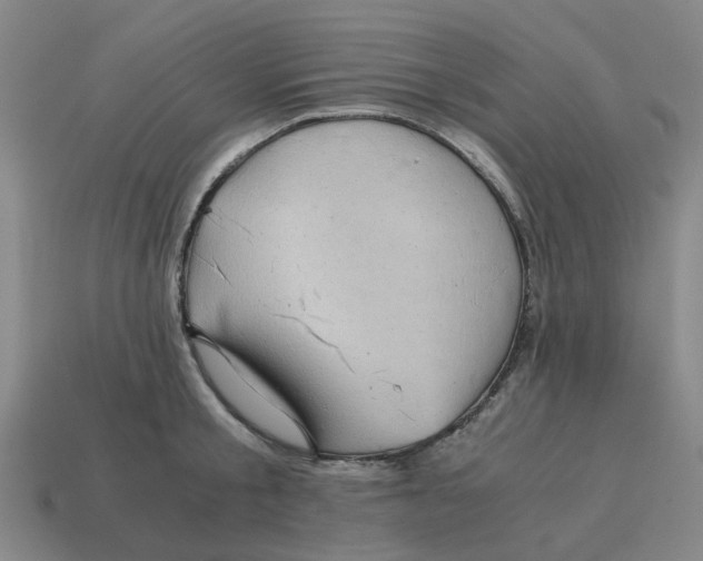 X0000114430805200911061642