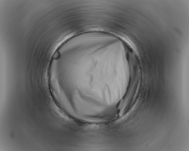 X0000114430806200911061642