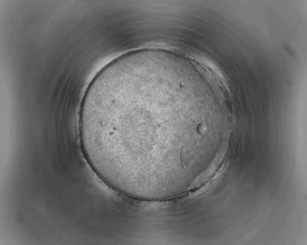 X0000114430808200911061642