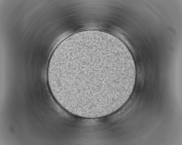 X0000114430810200911061642