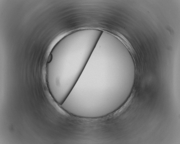 X0000114430812200911061642
