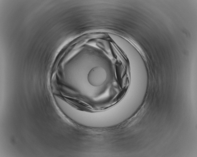 X0000114430813200911061642