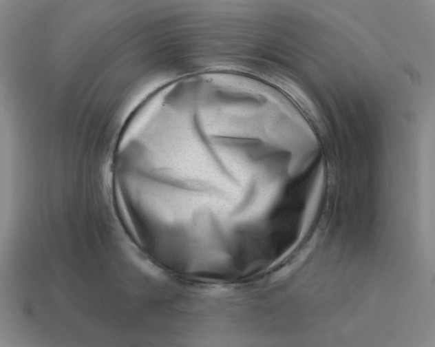 X0000114430814200911061642