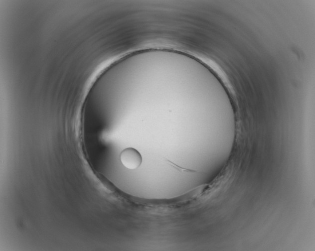 X0000114430815200911061642