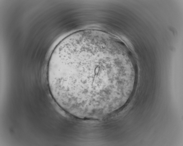 X0000114430816200911061642