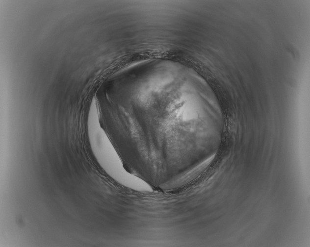 X0000114430818200911061641