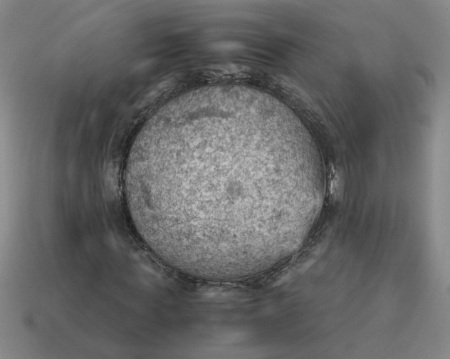 X0000114430819200911061641