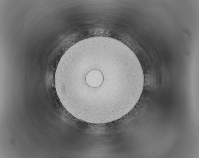 X0000114430820200911061641