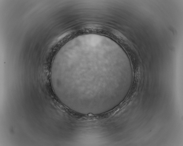 X0000114430822200911061641