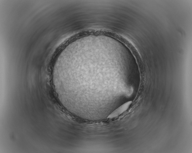 X0000114430823200911061641